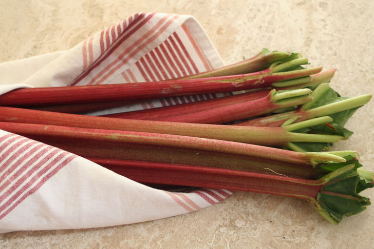 728px-Rhubarb-1yut.jpg